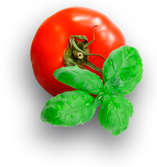 Tomate