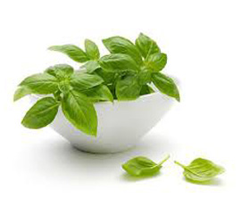 Albahaca