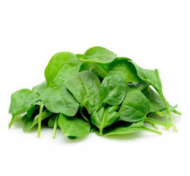 Espinacas