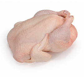 Pollo